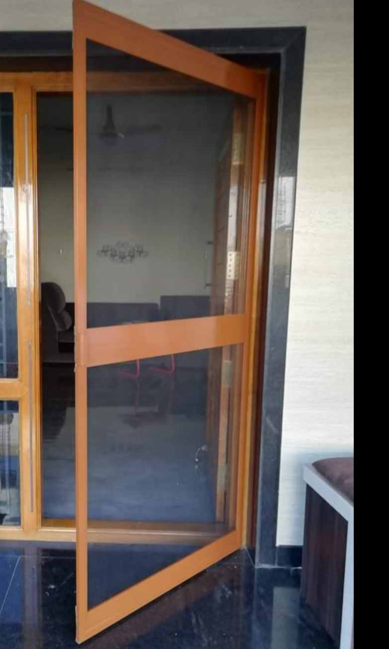 Mosquito net door